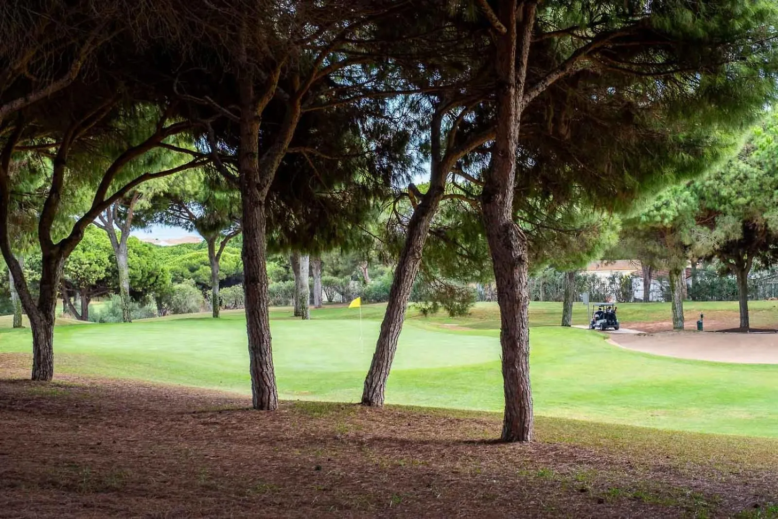 Apartment Cabopino Golf Feelings By Alfresco Stays Marbella